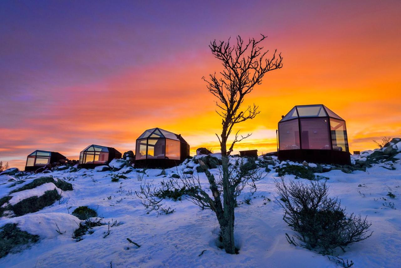 Kalle'S Inn Glass Houses Soderudden Esterno foto